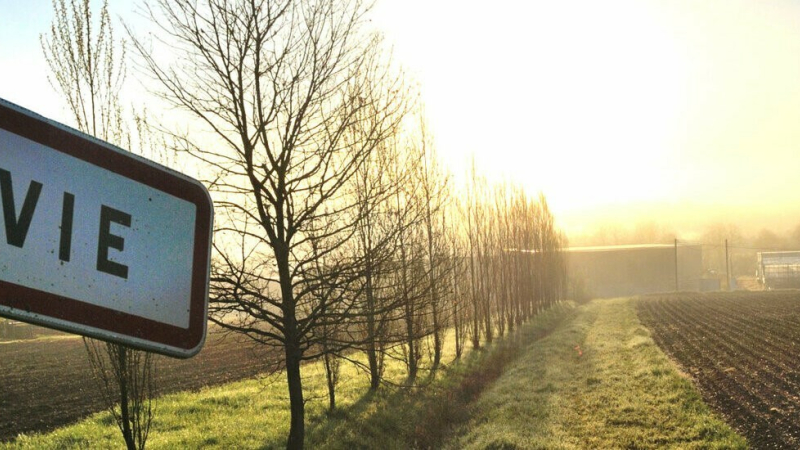 Avec envie nous irons à Pavie