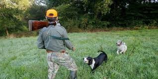 chasseur