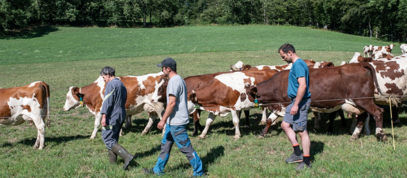 Une soirée au cinéma pour échanger sur la ruralité