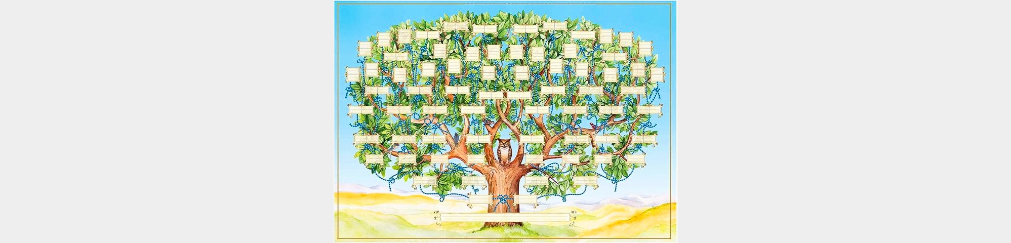 DR 00 Amazon arbre généalogique 1bis 161124.jpg