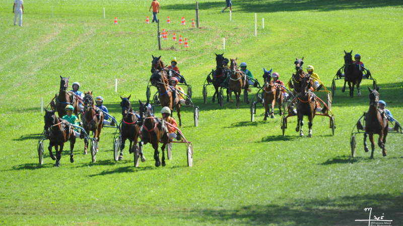 Assemblée générale de l'Amicale de Gascogne des hippodromes