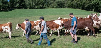 2-photo-4-la-ferme-des-bertrand-copyright-laurent-cousin.jpg