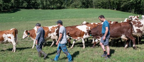 2-photo-4-la-ferme-des-bertrand-copyright-laurent-cousin.jpg