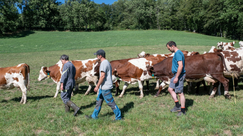 Cinequanon : programmation de la semaine et un cine-débat autour de la ruralité vendredi