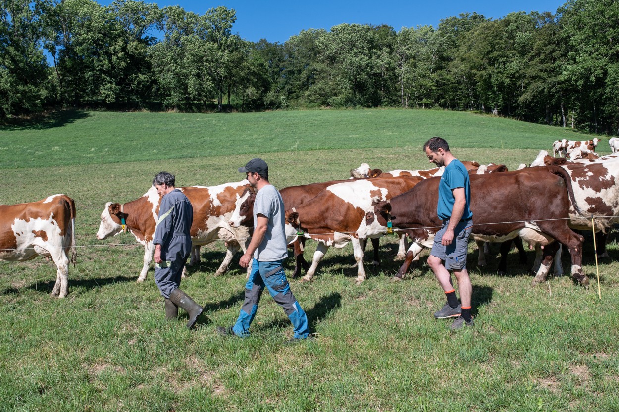 2-photo-4-la-ferme-des-bertrand-copyright-laurent-cousin.jpg