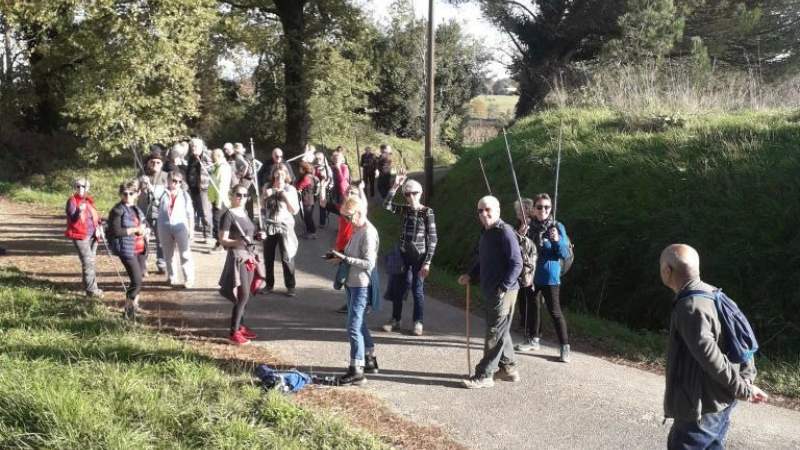 Elusa rando et ses randonnées pédestres