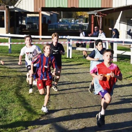 Cross départemental UNSS : participation de 1 400 élèves