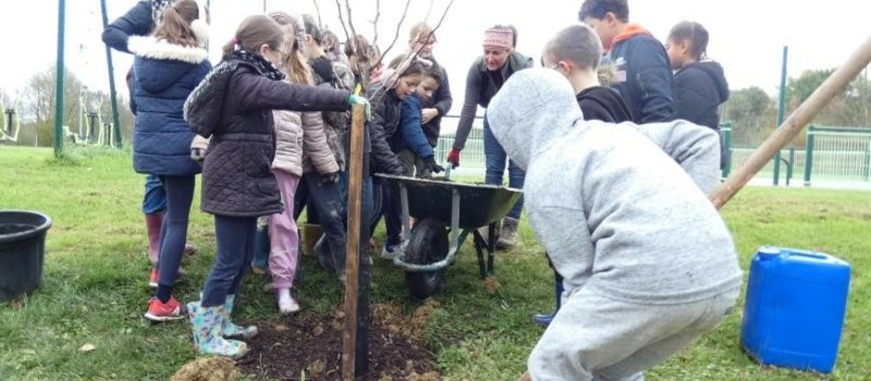 Quarante trois  arbres  adaptés au réchauffement climatiques ont été plantés