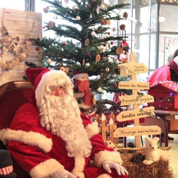 Un Marché de Noël artisanal et gourmand à Mirande le dimanche 8 décembre