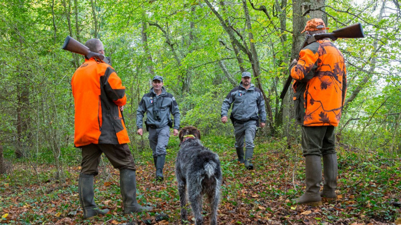 Sécurité à la chasse : l’Office français de la biodiversité organise une opération nationale de sensibilisation et de contrôle
