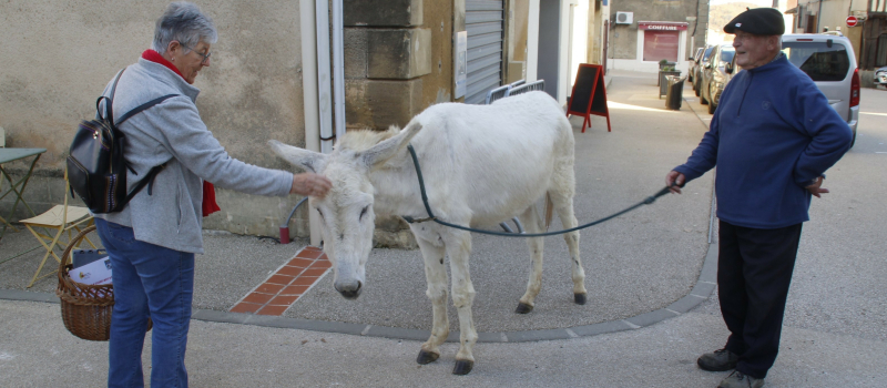 Avez-vous vu Berroy ?