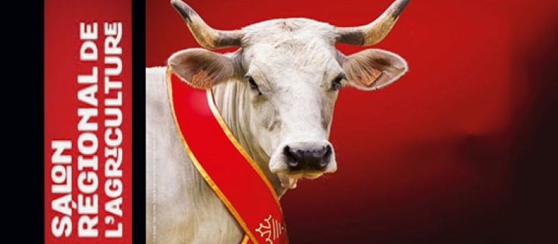 Salon régional de l’agriculture: la Mirandaise à l’affiche!