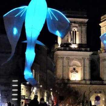 Des Nuées dans la nuit auscitaine !