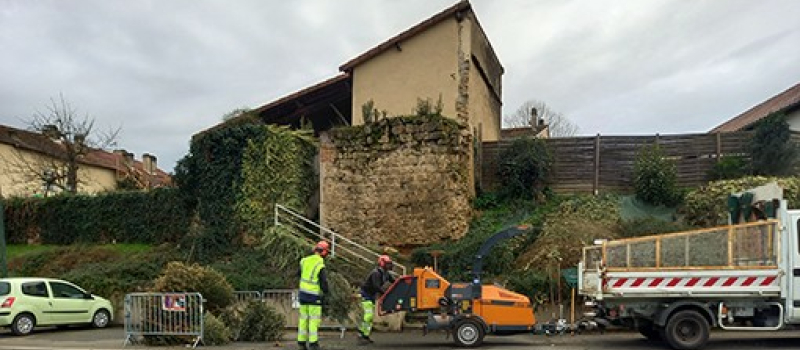Recyclage de vos sapins