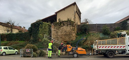 mirande ecolo sapins.jpg