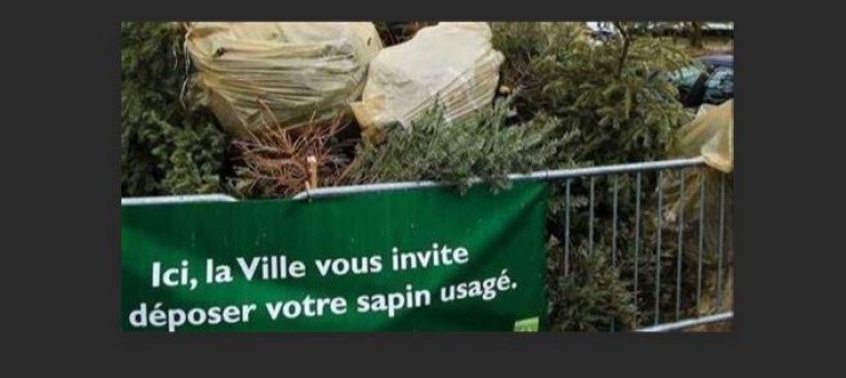 Après les fêtes, offrez une seconde vie à votre sapin entre le 3 et 27 janvier