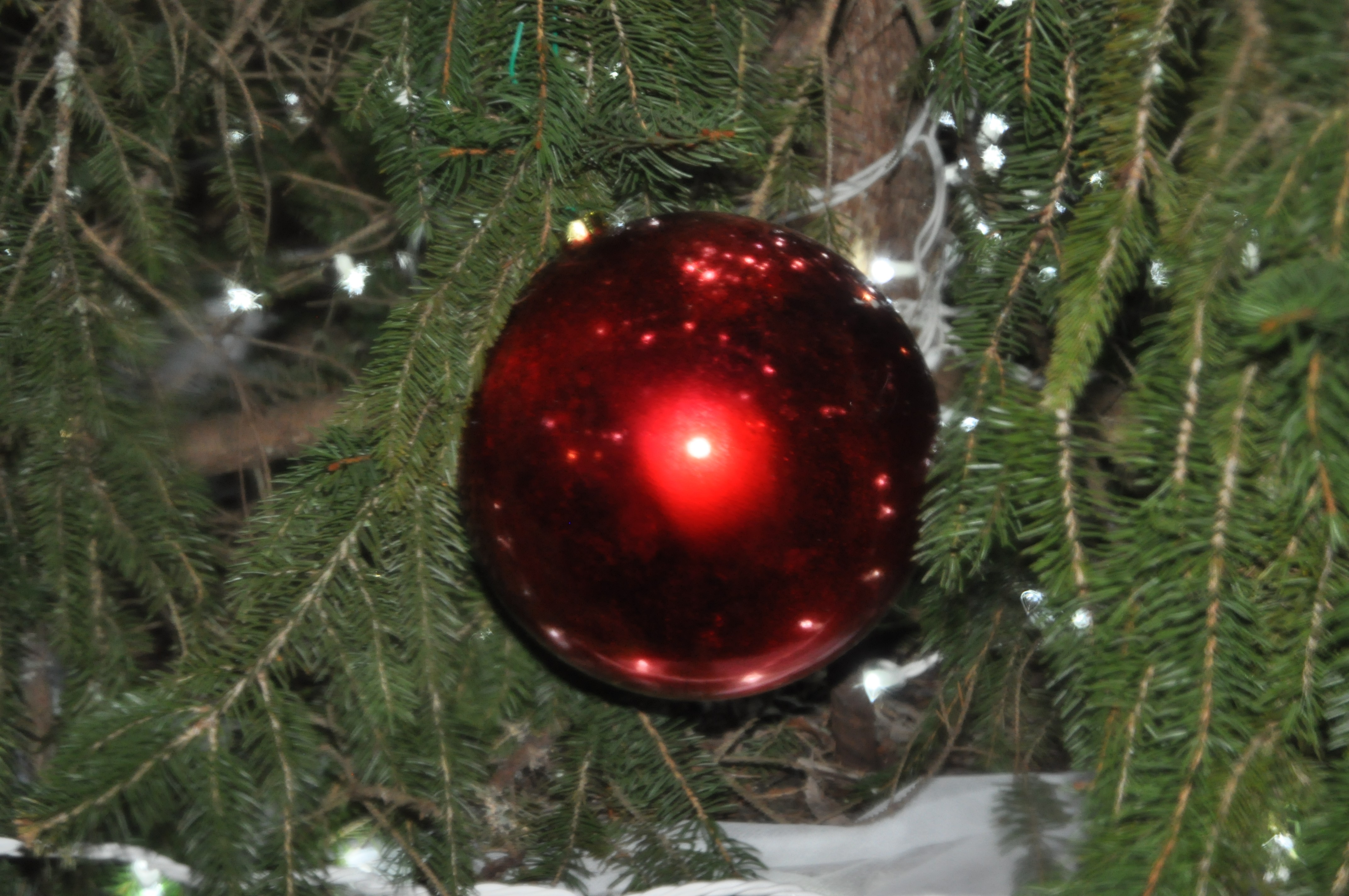DSC_0935.JPG
