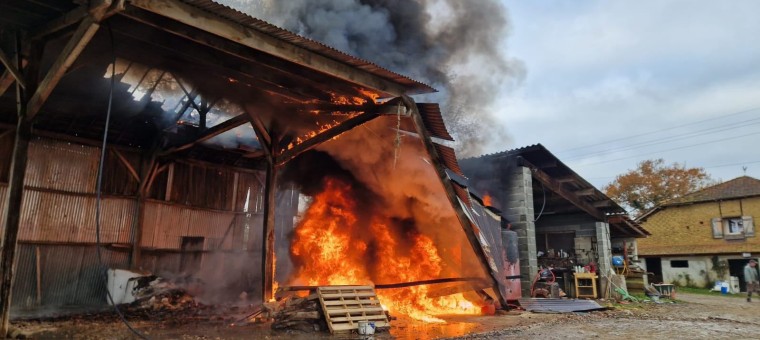 Un homme décède lors d'une opération d'élagage