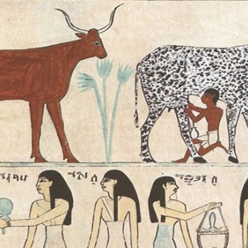 animaux egypte domestication.jpg