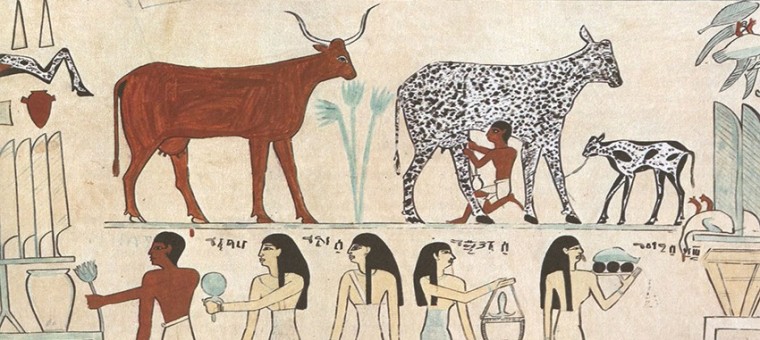 animaux egypte domestication.jpg