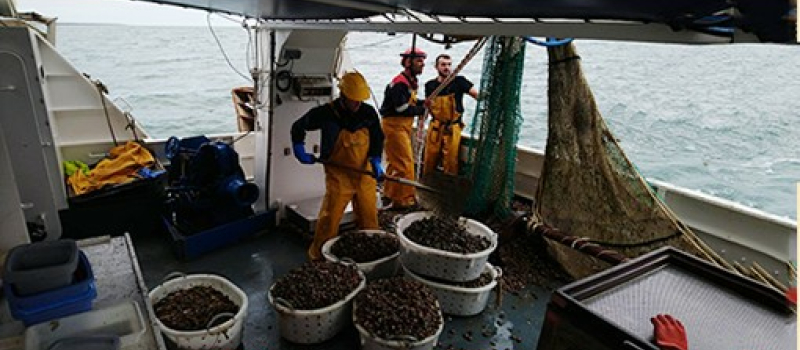Fermeture de la pêche dans le Golfe de Gascogne