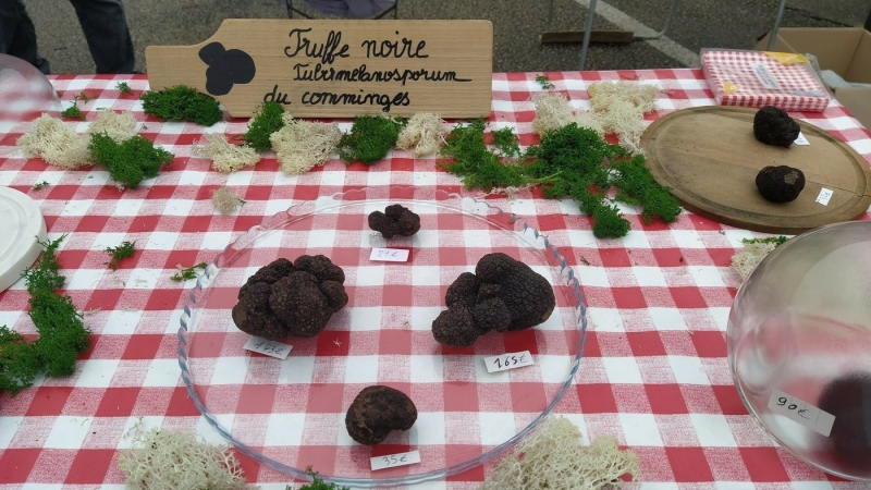 Les truffes noires sont à nouveau présentes sur le marché