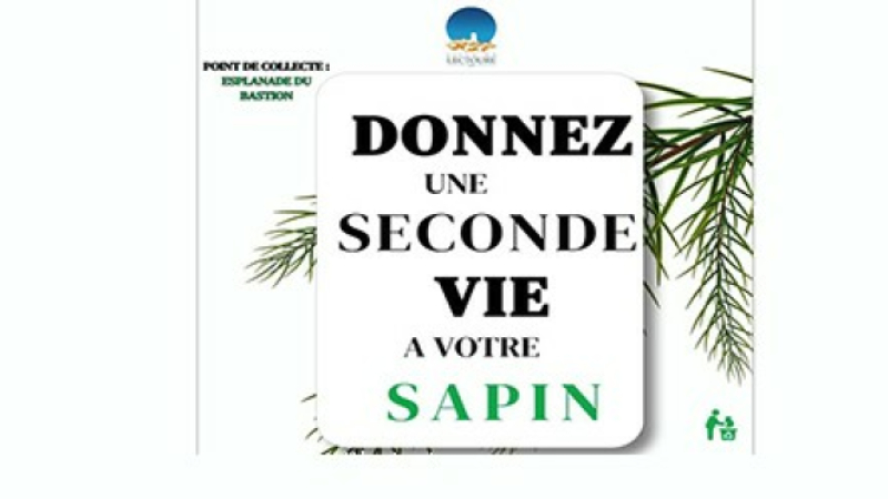 Récupération écologique des sapins