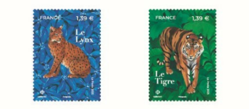 Les fèlins