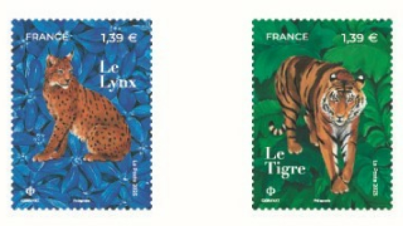 Les fèlins