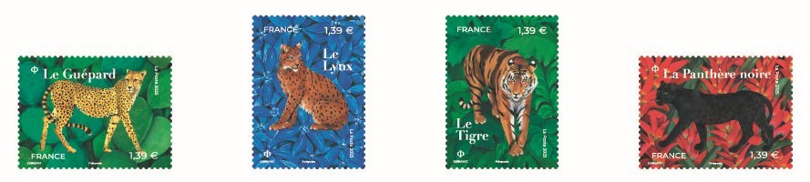 CARTE SOUV Nature felins.jpg