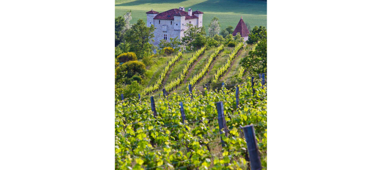 Festivités de la Saint-Vincent à Éauze