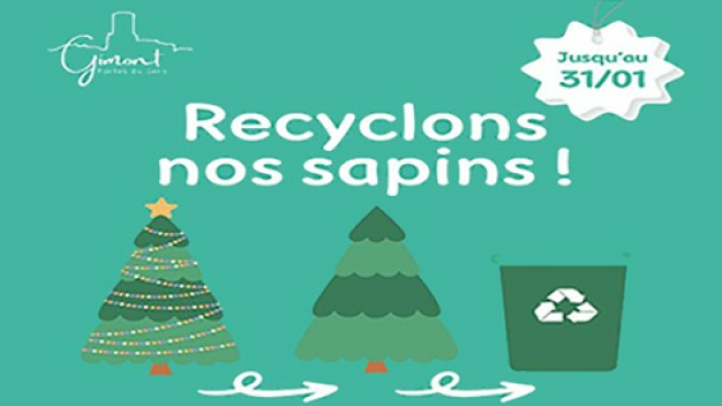 Recycler ses sapins