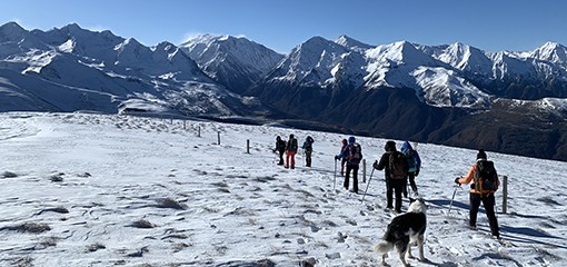 montagne marmotte 1IMG_5086 (002).jpg