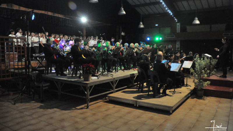 Belle réussite pour le concert de la Sainte Cécile  !