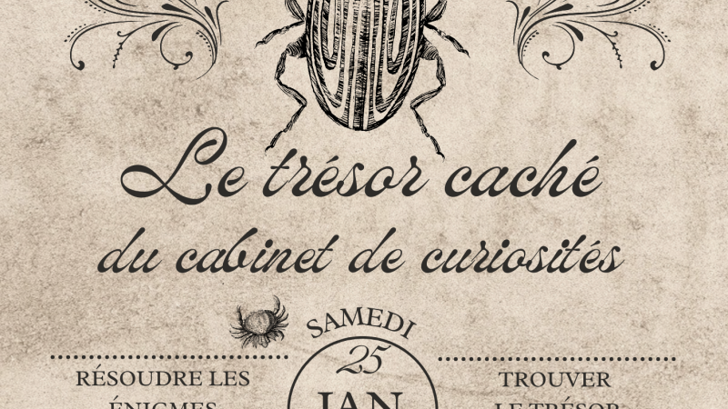 Le trésor caché du cabinet de curiosités