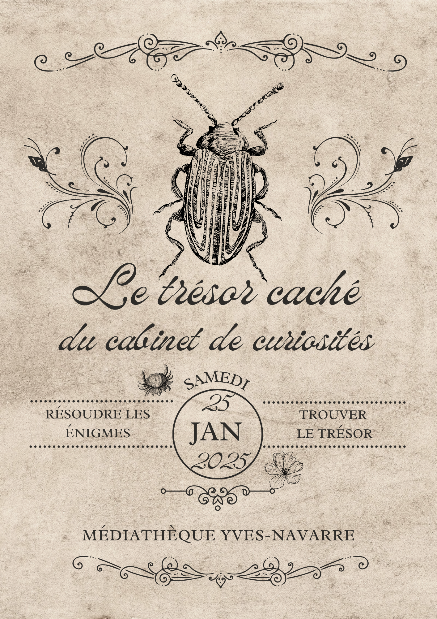 Le trésor caché du cabinet de curiosités