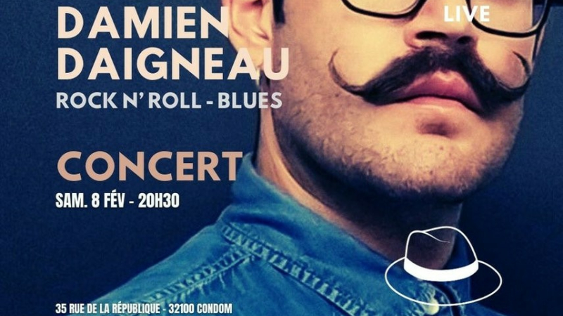 Damien Daigneau en concert