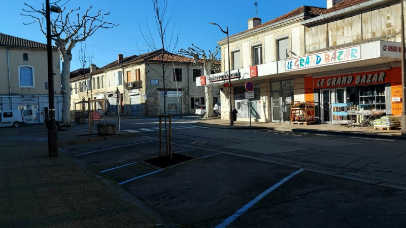 La commune entretient et préserve son  patrimoine arboré