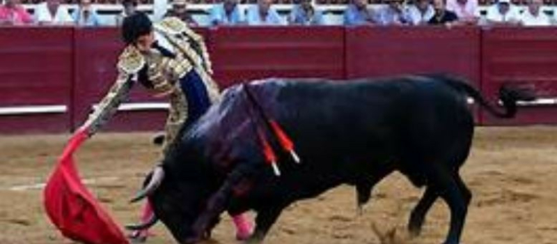 Pas de corrida pour la temporada 2025
