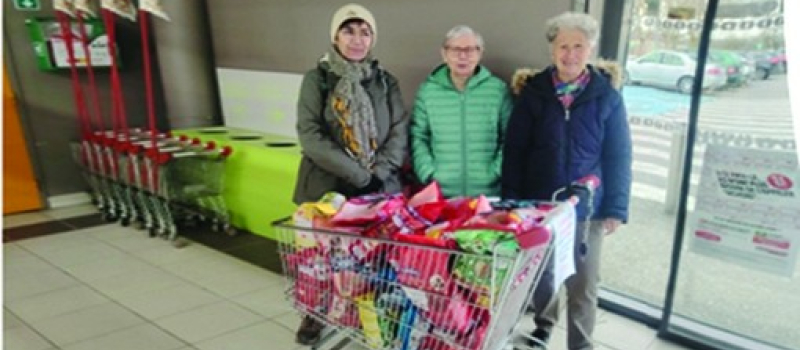 Nouvelles " Les Chats libre de Saint-Clar "