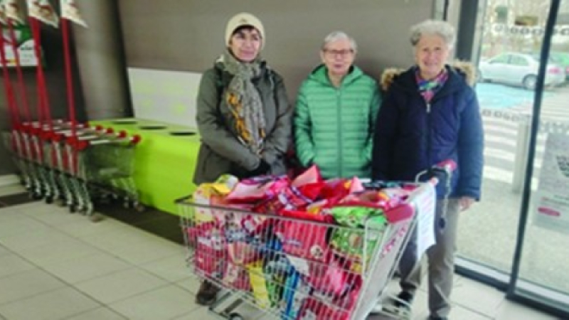 Nouvelles " Les Chats libre de Saint-Clar "