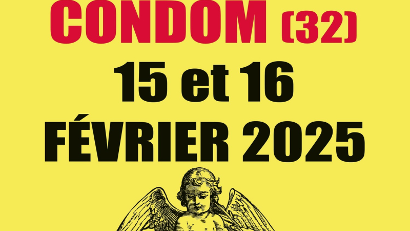 Le salon des antiquaires