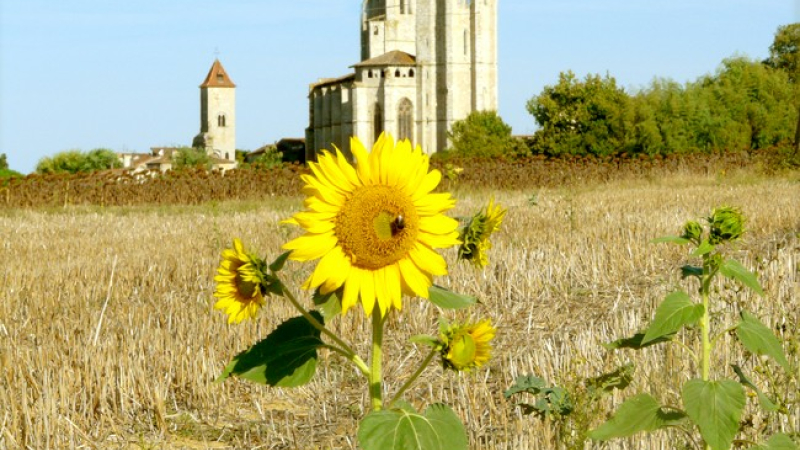 Communiqué de la Communauté de Communes de La Lomagne Gersoise