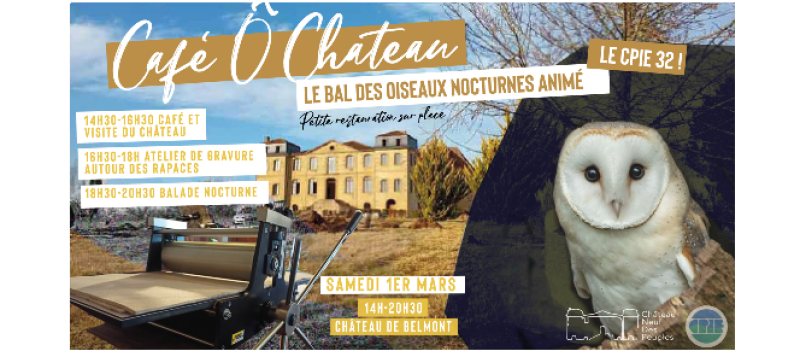 Le bal des oiseaux nocturnes au château de Belmont !
