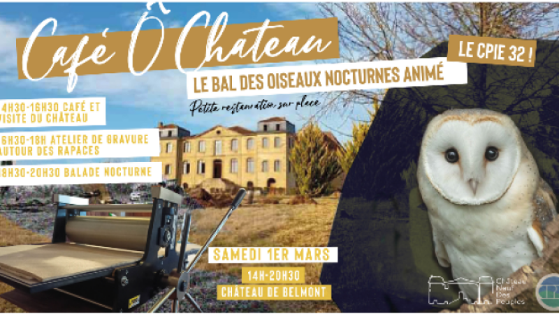 Le bal des oiseaux nocturnes au château de Belmont !