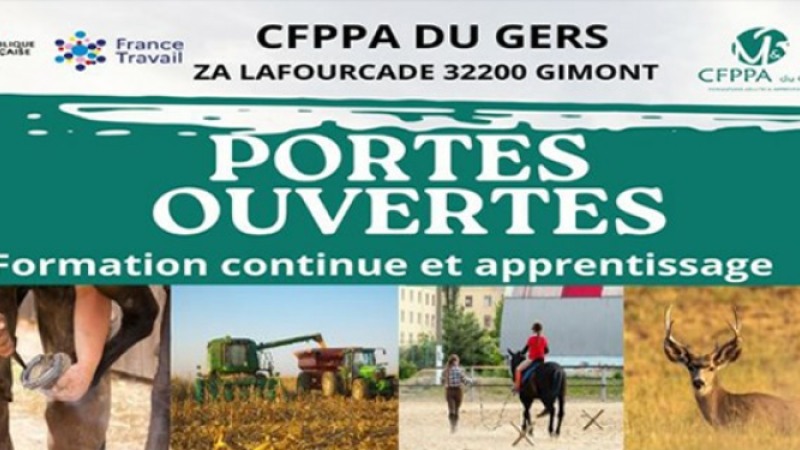 Formations professionnelles
