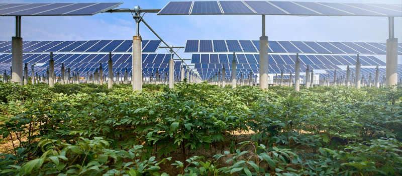 Projet de loi agrivoltaïque et  photovoltaïque : " Une honte absolue pour notre département" estime  la Coordination Rurale 32