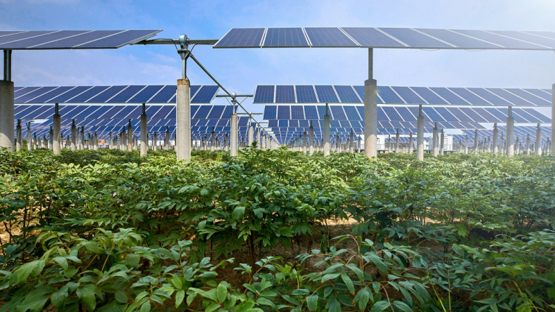 Projet de loi agrivoltaïque et  photovoltaïque : " Une honte absolue pour notre département" estime  la Coordination Rurale 32