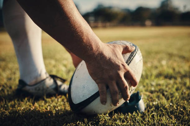 istockphoto-1223298571-612x612.jpg