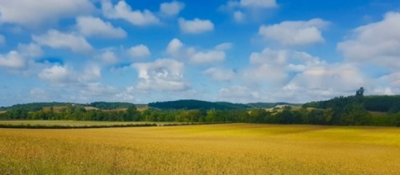 Élection du Président de la Chambre d’agriculture: le Département du Gers réaffirme ses valeurs et ses ambitions pour une agriculture durable